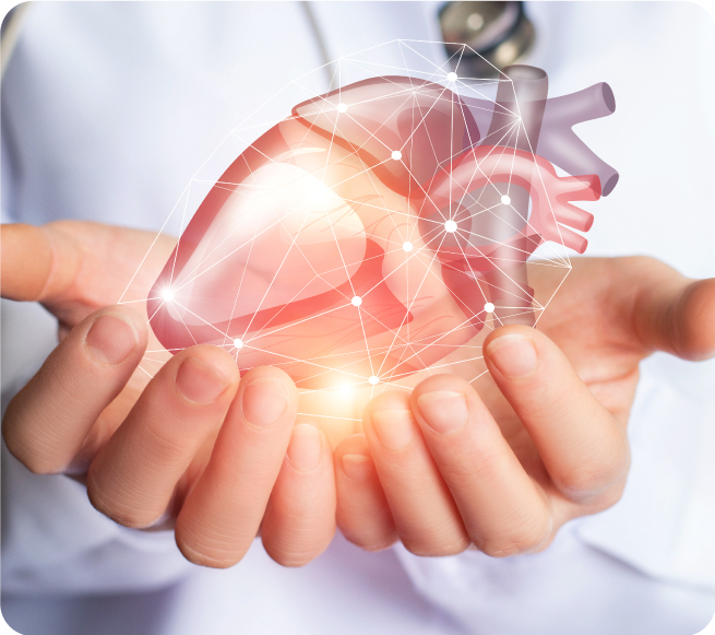 Cardiology