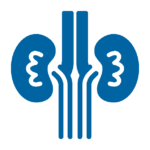 Nephrology icon