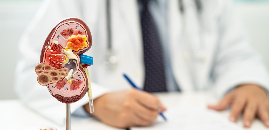 Nephrology