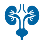Urology icon